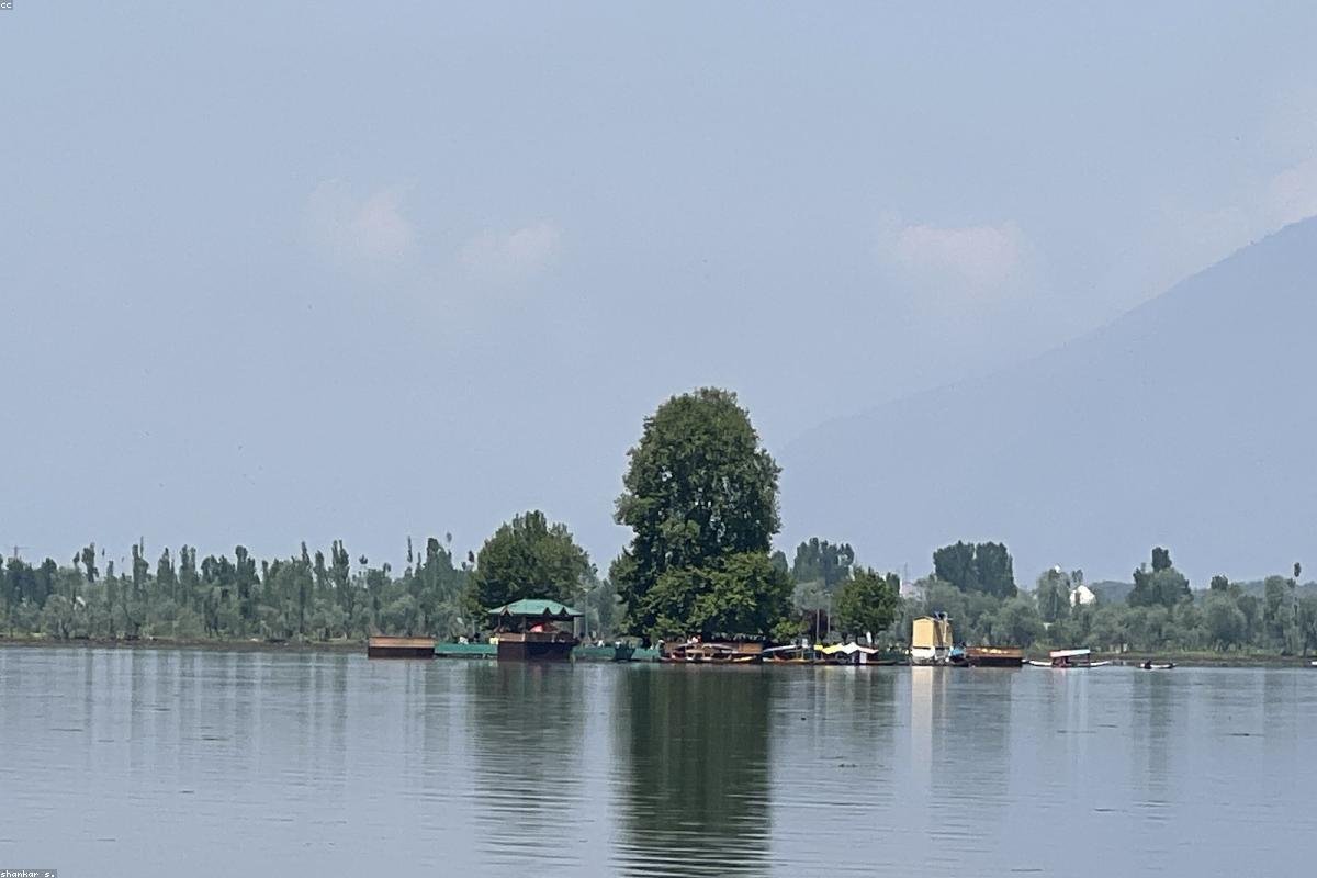 Kashmir