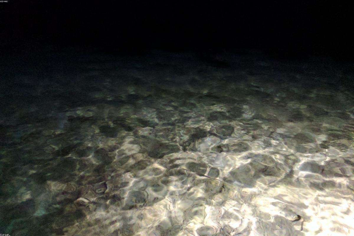 Maldives